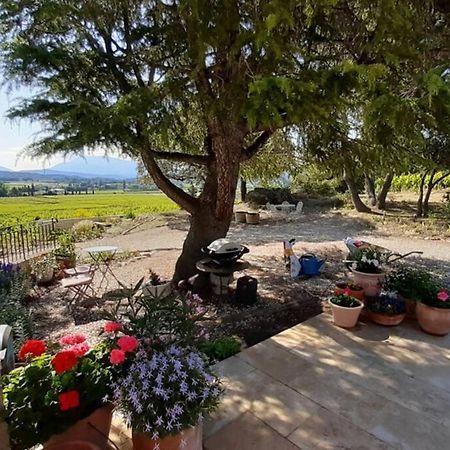Le Clos Des Pins, Vue Mont Ventoux Roaix Eksteriør billede